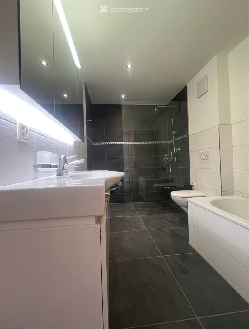 Modern bathroom with a double sink, glass-enclosed shower, toilet, and bathtub. Dark tiled floor and walls, sleek fixtures, and built-in storage.