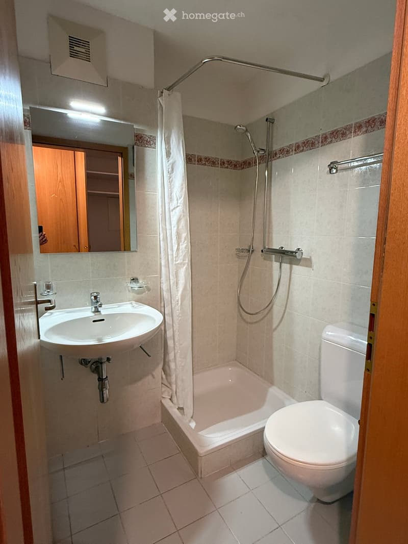A small bathroom with a white sink, toilet, bathtub, and a mirror above the sink. The shower area has a curtain and a handheld showerhead.