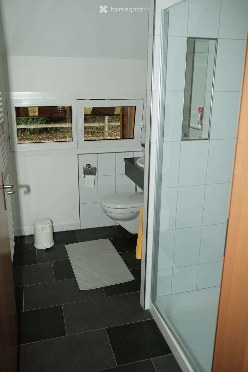 Modern bathroom with black tiled floor, white toilet, sink, mirror, and a glass-enclosed shower area. Includes a grey bath mat, a white trash bin, and a toilet paper holder.