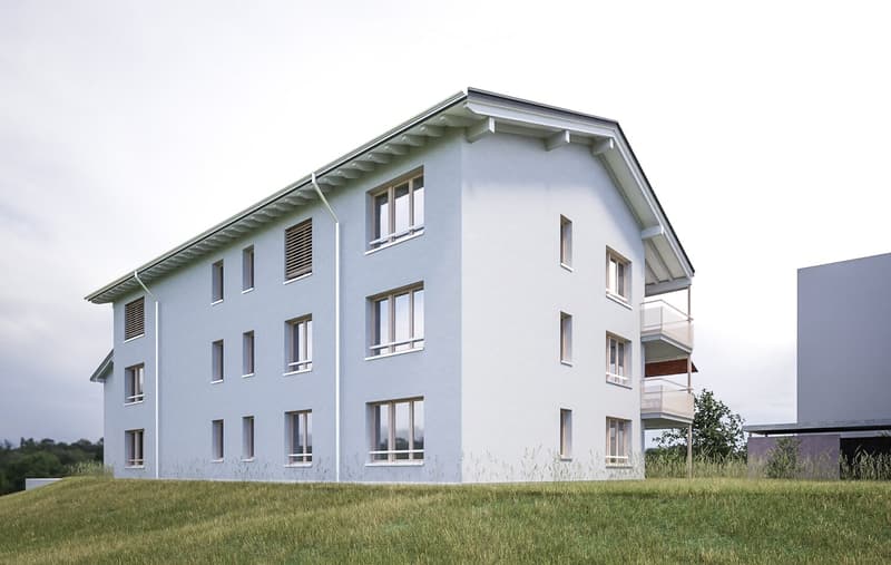 Modern two-story house with white exterior, multiple windows, and a raised ground floor.