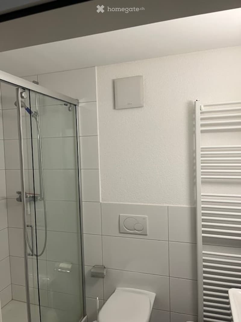 Modern bathroom with white tiles, a glass-enclosed shower, a toilet, and a white radiator. The walls are painted in a light grey color, and the ceiling is white.