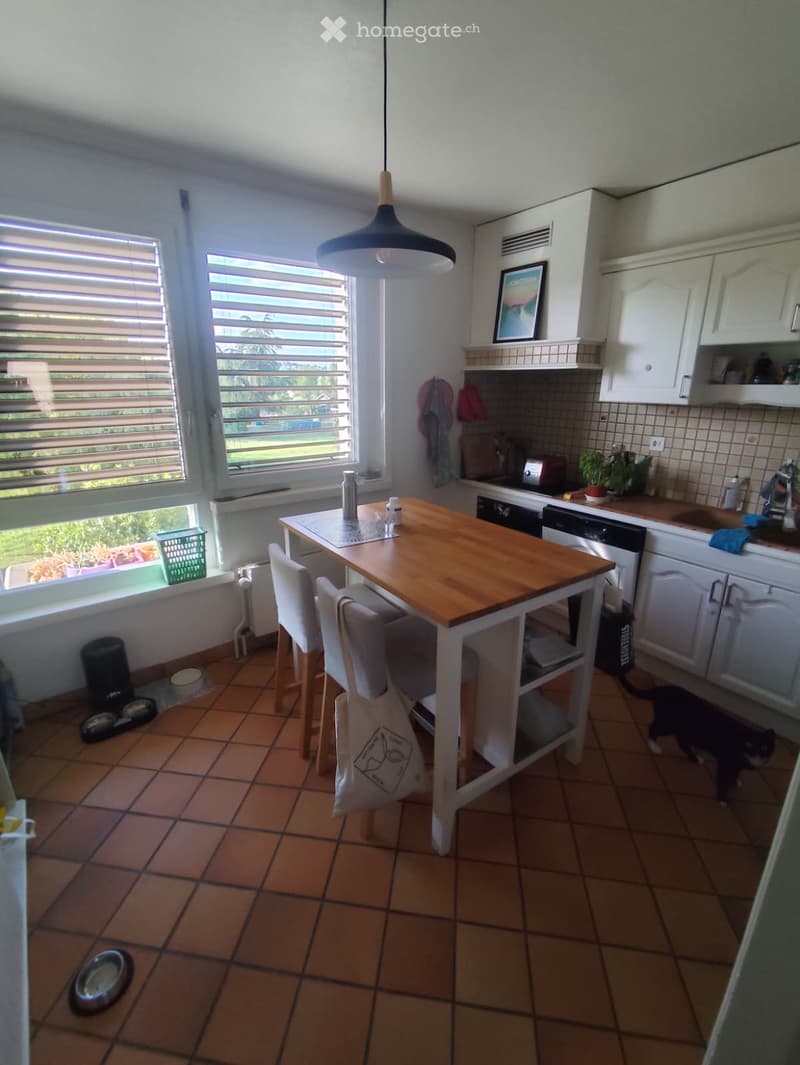 A modern kitchen with white cabinets, a wooden island table, and a hanging pendant light. The space includes a sink, dishwasher, and a cat visible in the corner.