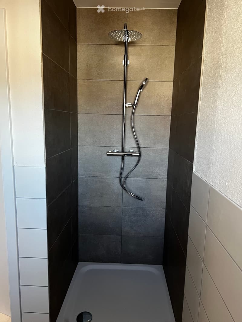 Modern bathroom with a bathtub, a handheld showerhead, and a fixed showerhead, featuring dark and light tiles.
