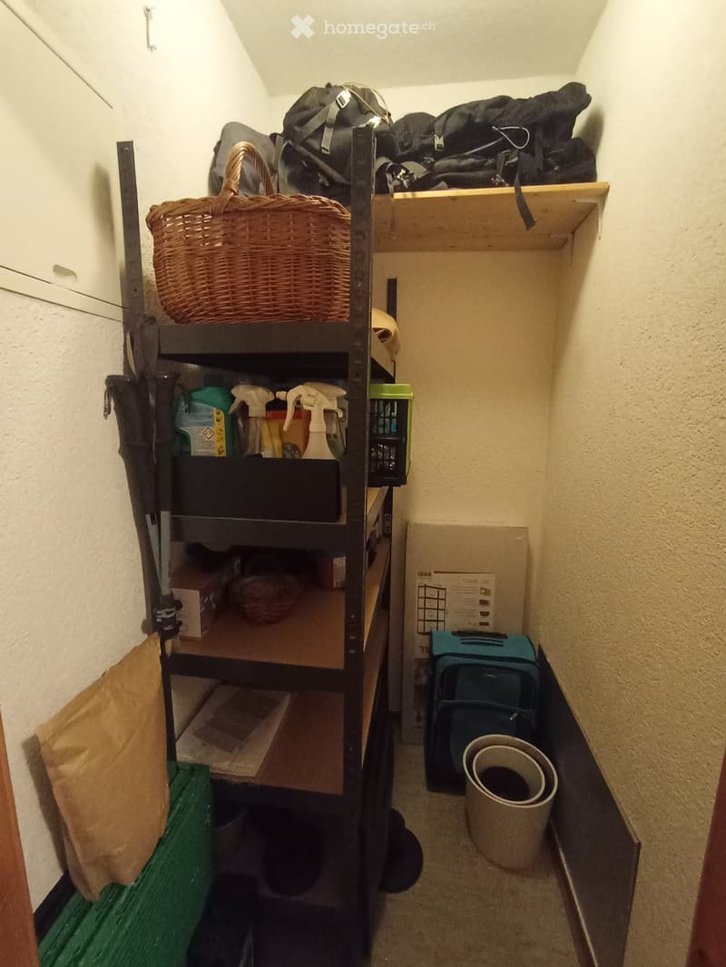 A narrow hallway with a metal shelving unit holding various items including a wicker basket, cleaning supplies, and bags. The hallway has beige walls and a carpeted floor.