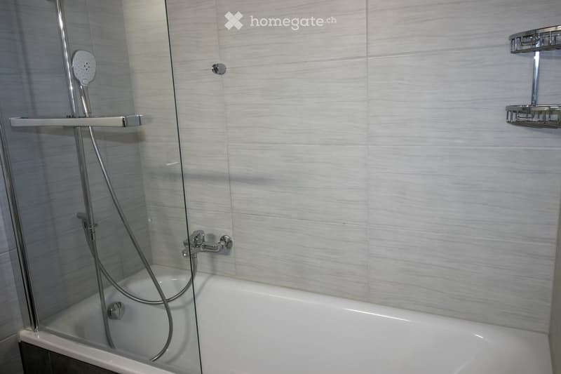 Modern bathroom with a white bathtub, glass shower enclosure, handheld showerhead, and chrome fixtures.