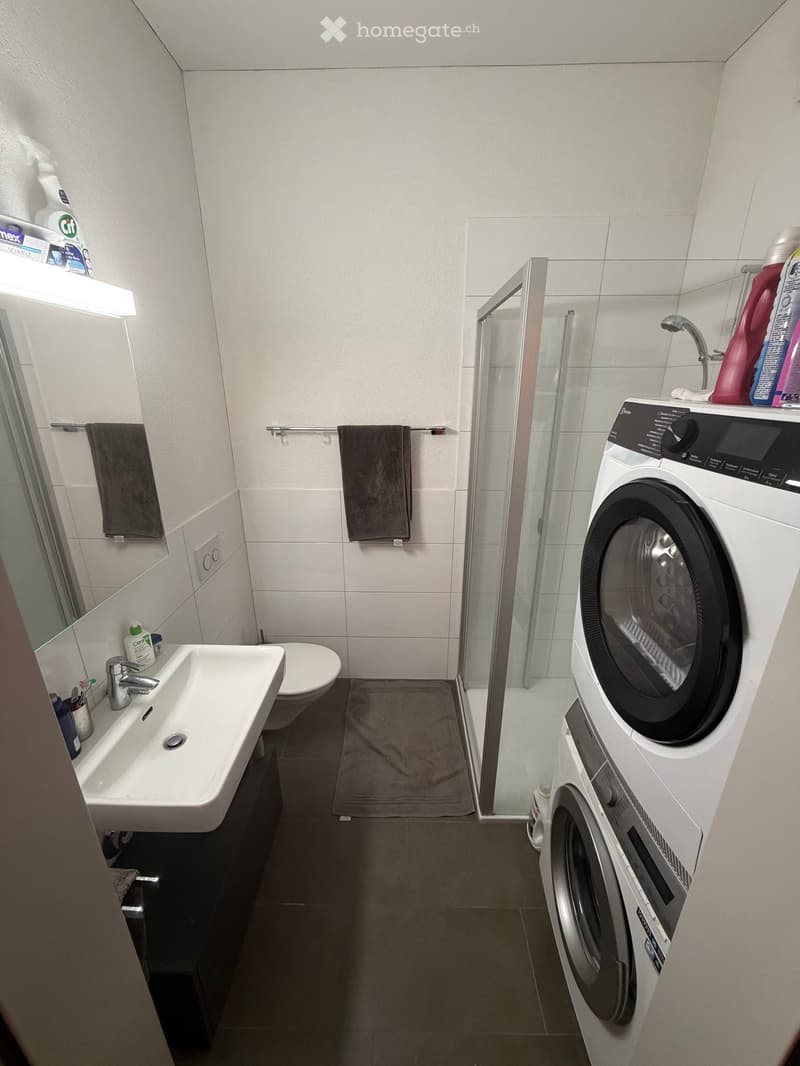 Bathroom with toilet, washbasin, mirror, and washing machine. Glass shower enclosure.