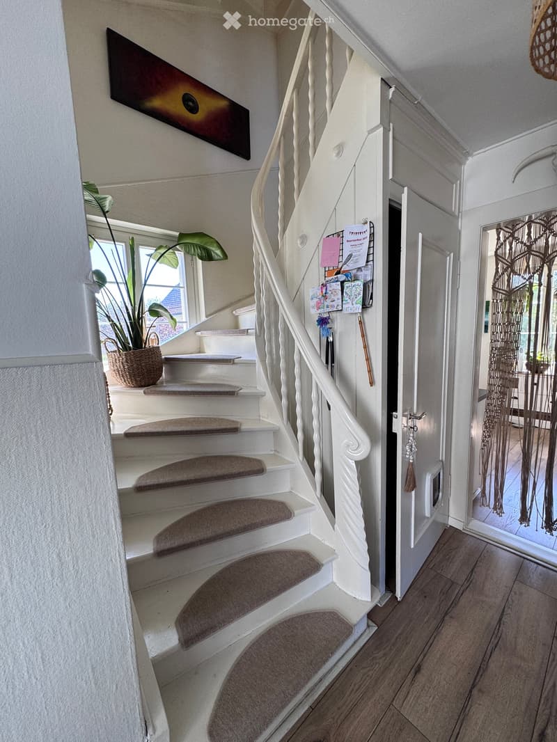 Staircase with white railings and brown runners, a potted plant on the landing, and a doorway leading to another room.