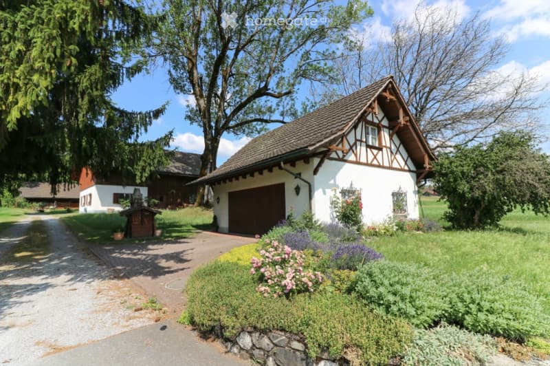 Traditional half-timbered house with a garage, surrounded by a well-maintained garden with colorful flowers and shrubs.