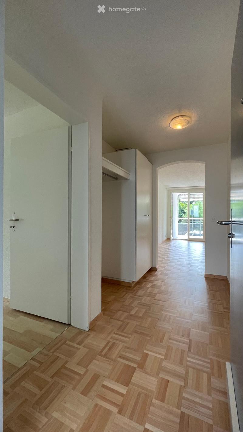 Bright hallway with wooden herringbone flooring, white walls, and recessed lighting. Features a built-in closet with mirrored doors and an open doorway leading to a balcony area.