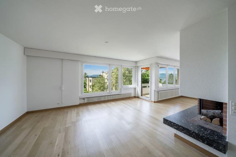 wooden floor, large windows, balcony, fireplace