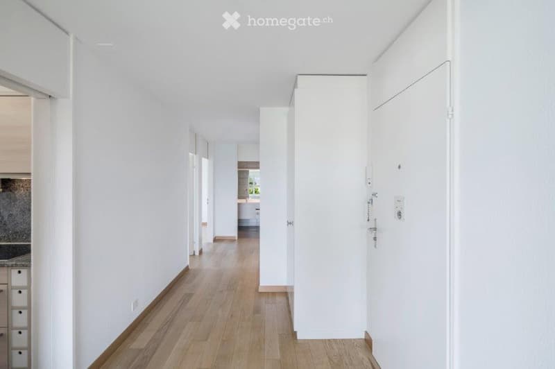 modern hallway with white walls, wooden floor, closed doors, visible a small part of the interior design