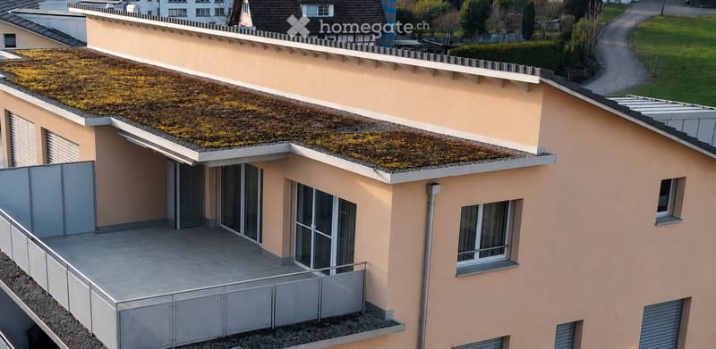 Modern two-story house with a green roof, large windows, and a balcony with metal railings.