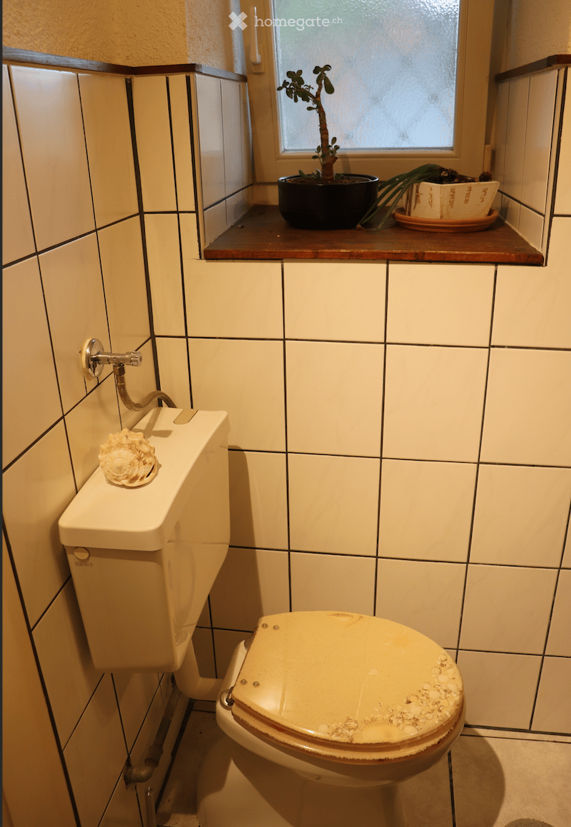 Small bathroom with white tiled walls, a toilet, a faucet, and a small shelf holding plants.