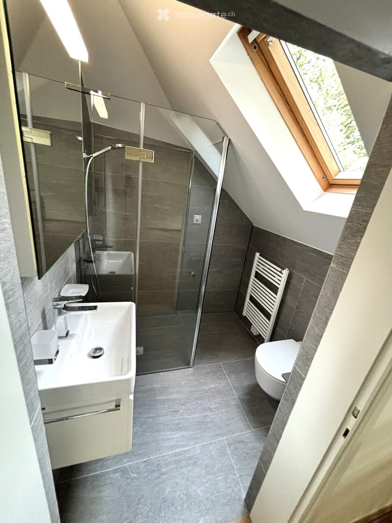 Modern bathroom with grey tiles, white sink, toilet, glass shower enclosure, and skylight window.