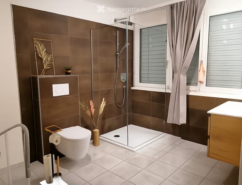 Modern bathroom with brown tiles, a glass-enclosed shower, a toilet, a sink, and decorative elements including a vase with dried plants and a framed picture on the wall.