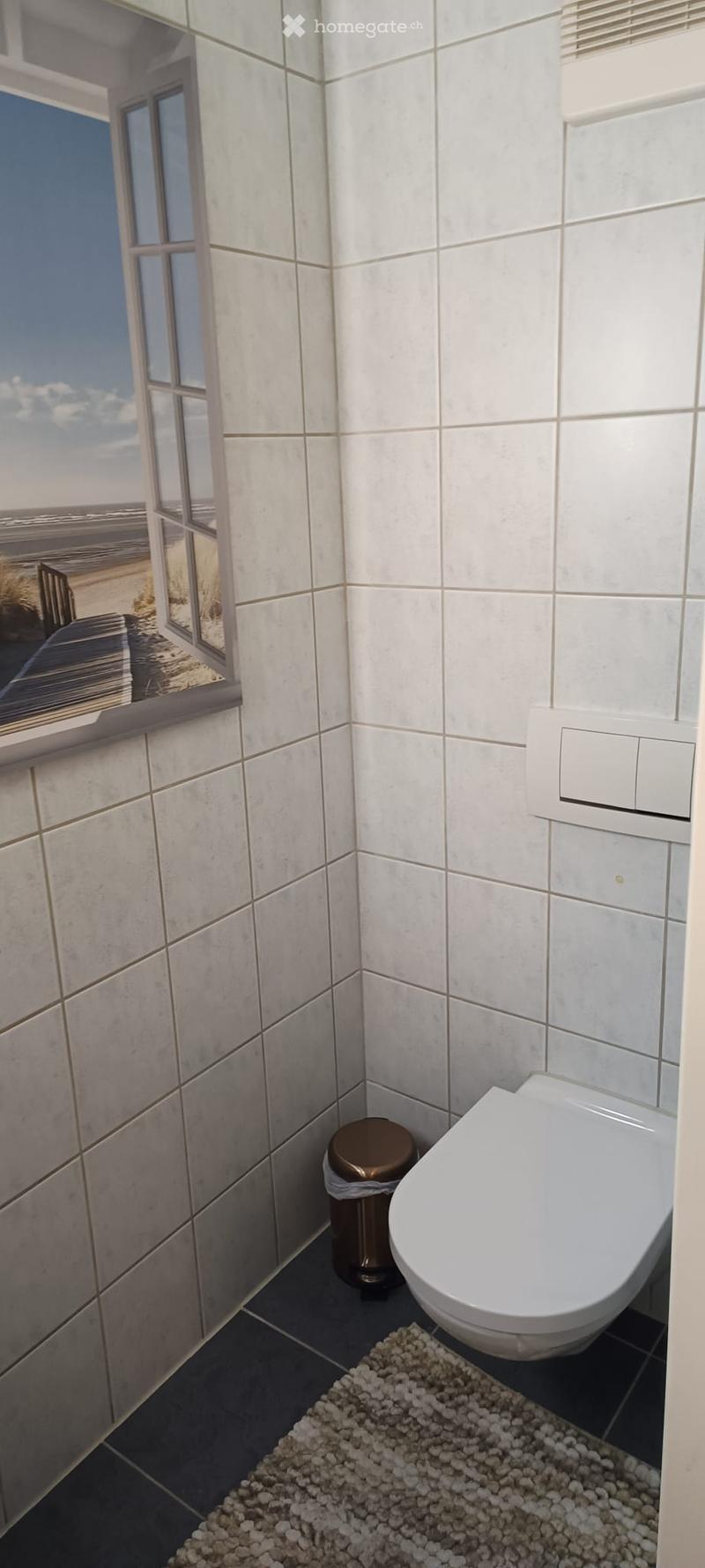 Modern bathroom with white tiled walls, a toilet, a small trash can, and a white textured rug on the floor. Large window offers a scenic view.
