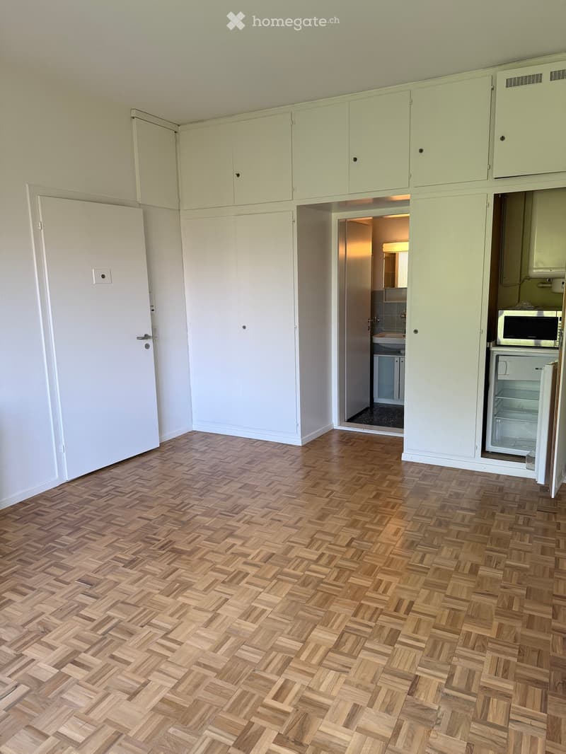 A modern, unfurnished room with light wooden herringbone flooring, white cabinetry, and an open doorway leading to a small bathroom with a sink and mirror.