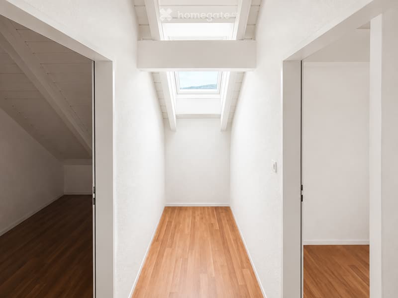 Bright, minimalist hallway with white walls, wooden flooring, and a skylight window at the end.