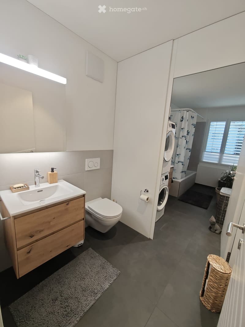 Modern bathroom with a sink, toilet, washing machine, bathtub, and shower area. Features include a wooden cabinet, a mirror, a light fixture, a soap dispenser, a toilet paper holder, a rug, a cat tree, and a cat toy.