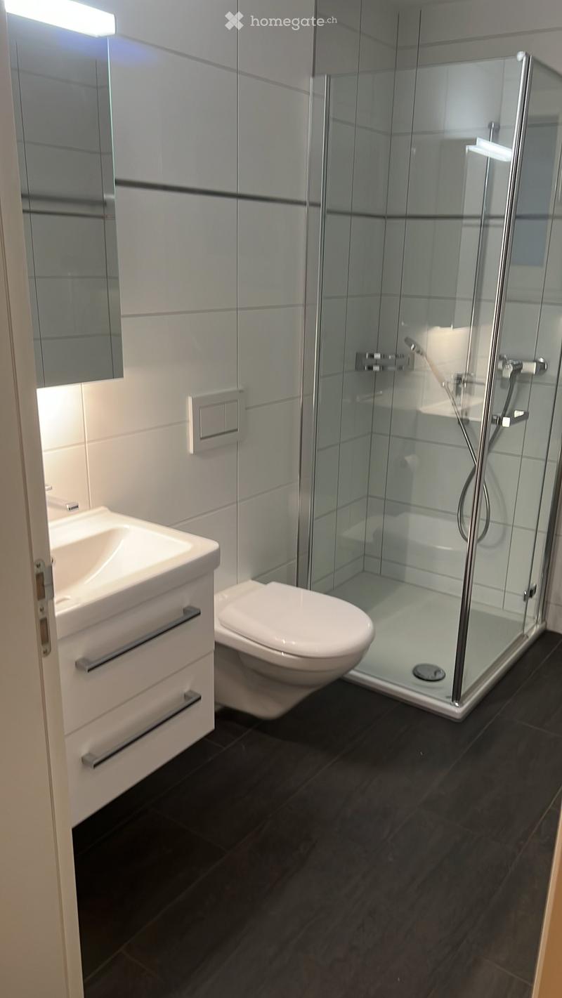 Modern bathroom with white tiles, dark flooring, a glass-enclosed shower, a toilet, a sink with a cabinet, and a mirror.