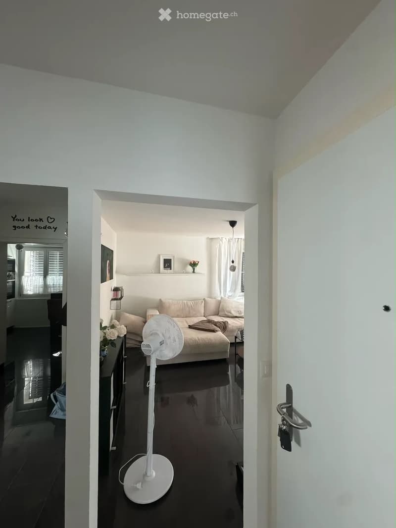 A modern living room with a beige sofa, a white standing fan, a small table with a flower vase, and a wall-mounted picture frame. The room features white walls, dark flooring, and a large window with white curtains.