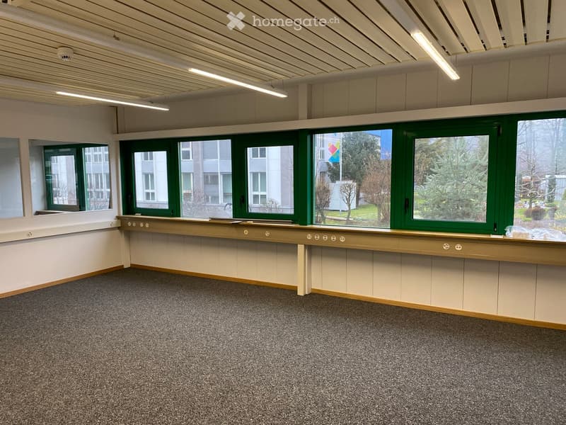 Empty room with carpeted floor, large windows with green frames, and a long counter along one wall.