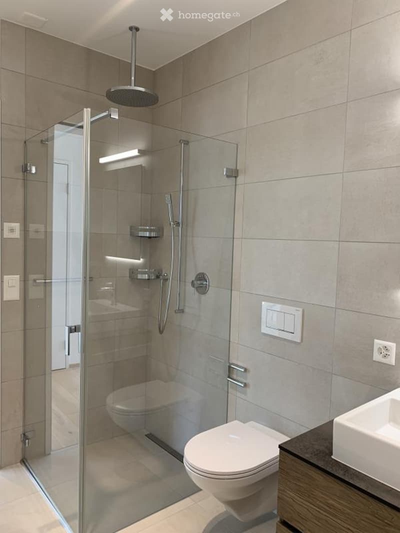 Modern bathroom with a glass-enclosed shower, toilet, sink, and built-in shelves. Features light gray tiles and a sleek, contemporary design.