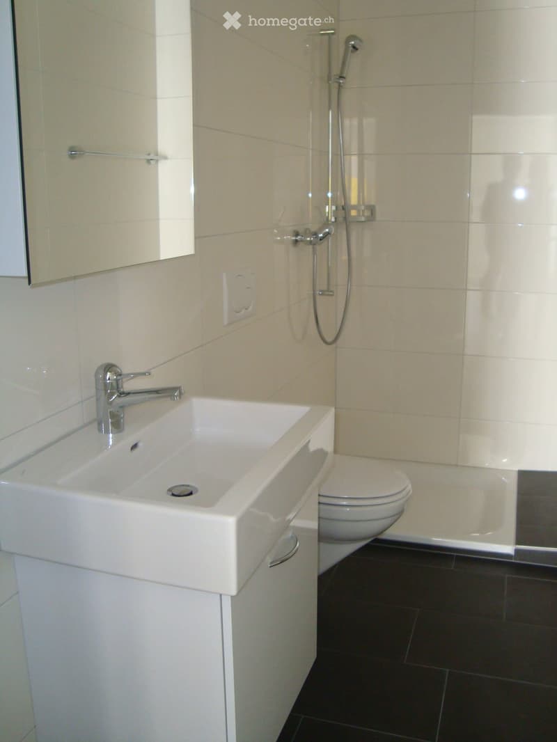 Modern bathroom with a white sink, chrome faucet, toilet, bathtub, and a mirror on the wall.