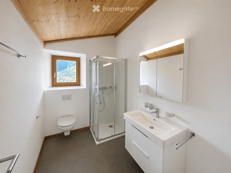 Modern bathroom with white walls, wooden ceiling, a toilet, a sink with a mirror cabinet, and a glass-enclosed shower. Features a window with a scenic view.