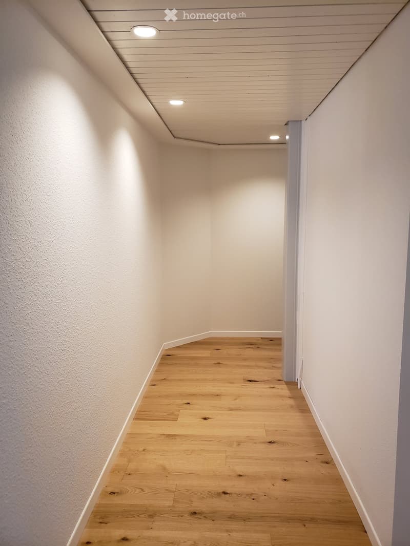 A narrow hallway with light wooden flooring and white walls, featuring recessed ceiling lights and a slightly angled ceiling design.