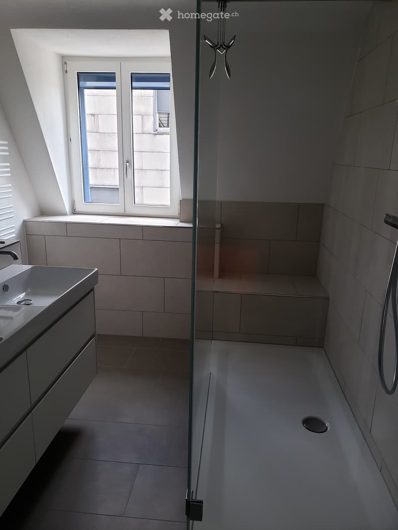 Modern bathroom with a sleek sink, glass shower enclosure, and large windows allowing natural light.