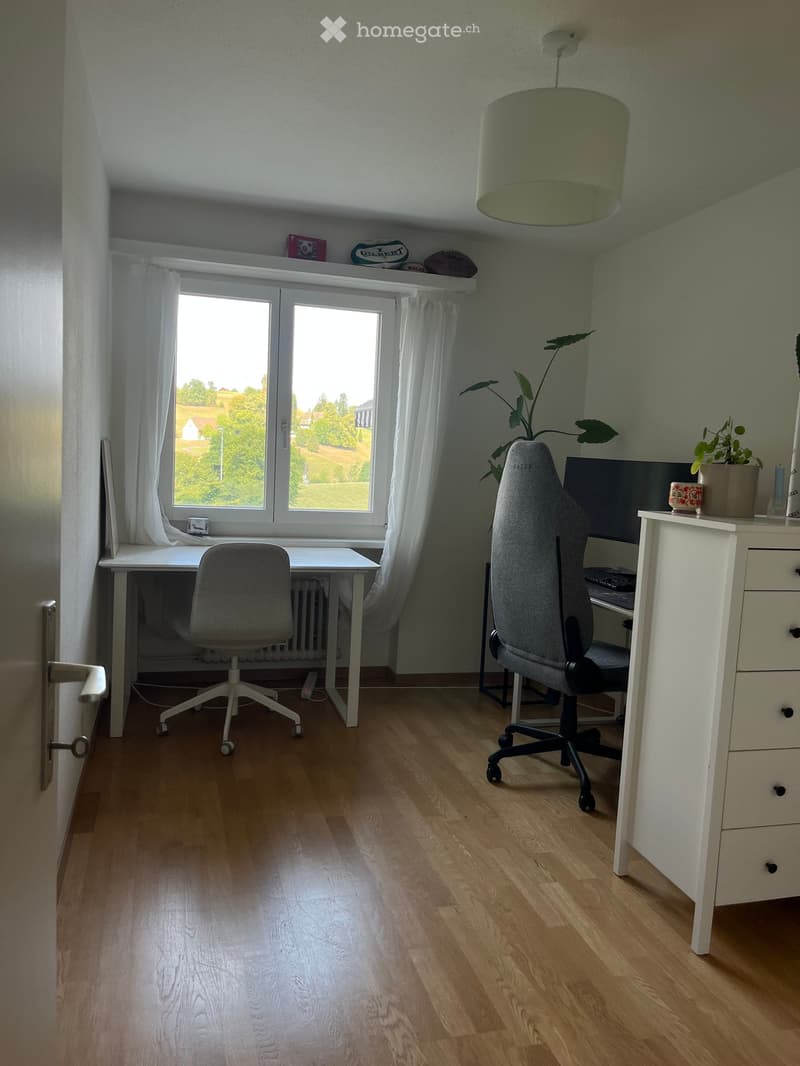 A well-lit room with wooden flooring, two desks, two chairs, a screen, a cup, a plant, and a radiator.