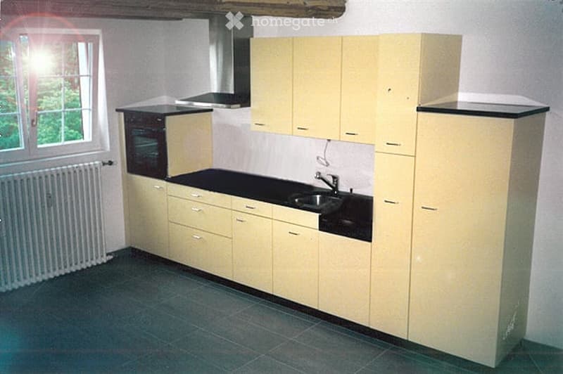 Modern kitchen with light-colored cabinets, black countertop, stainless steel sink, and built-in oven. Features a large window with a view of greenery.
