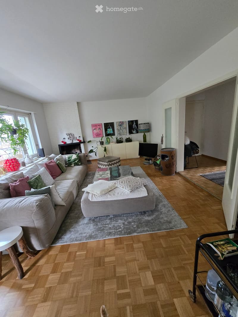 large living room, grey sofa, carpet, wooden floor, fireplace, large windows