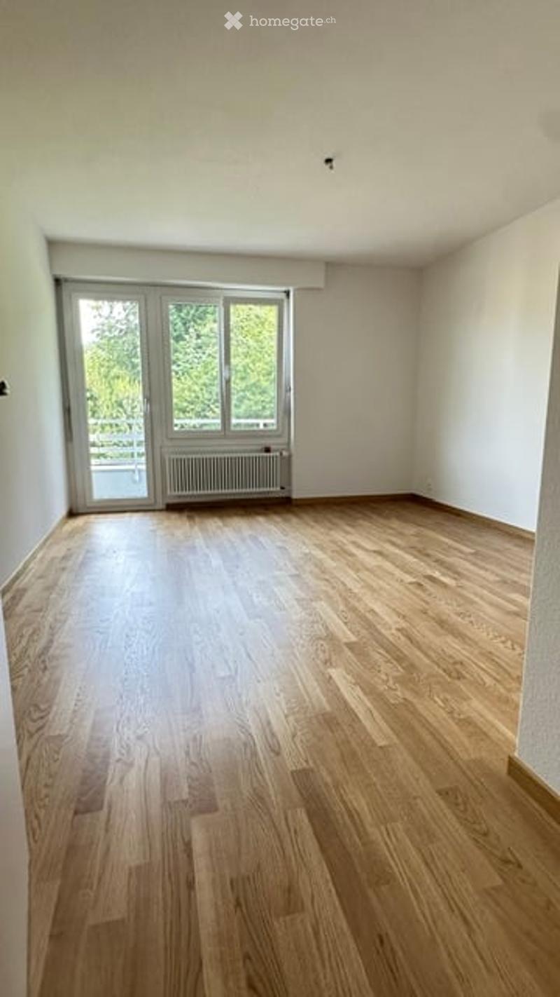 Empty room with light wooden flooring, white walls, large window with glass door leading outside, radiator below window.