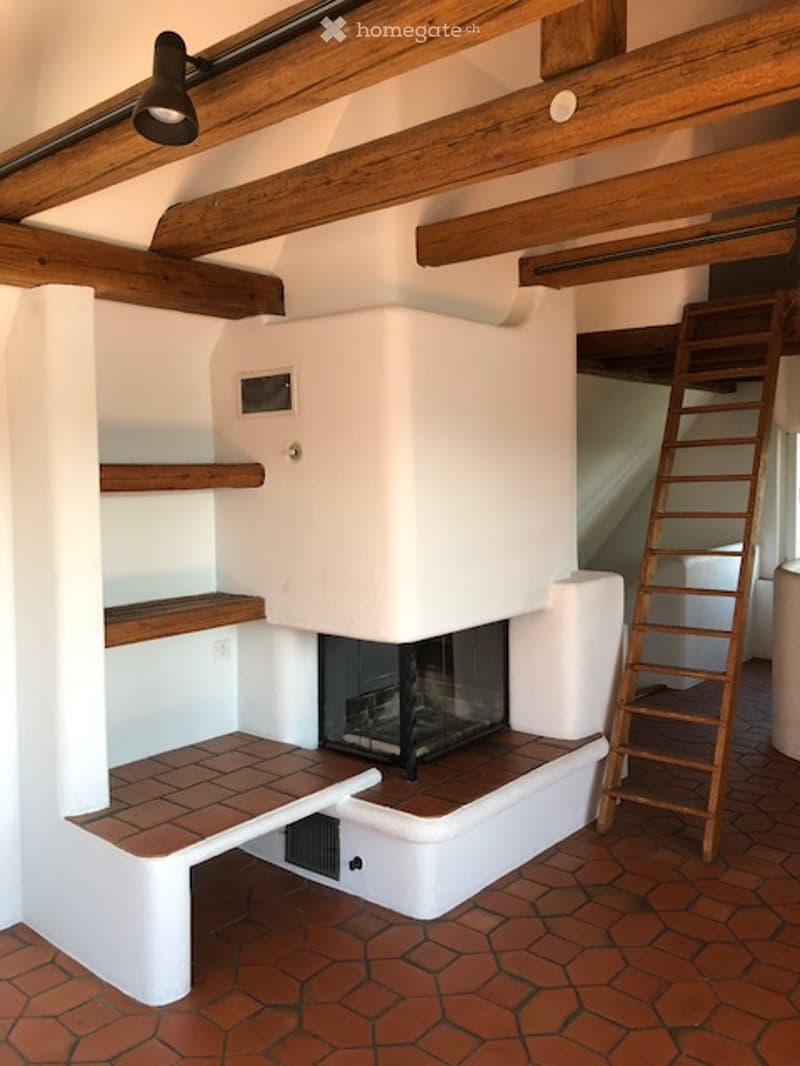 Living room with exposed wooden beams, a modern fireplace, wooden ladder, and built-in wooden shelves.