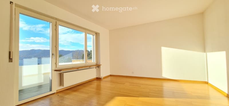 Empty room with wooden flooring, large windows offering a scenic view of a lake and mountains, and a radiator under the windows.