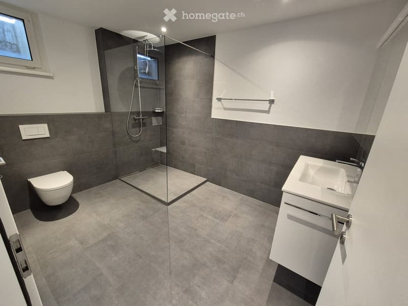 Modern bathroom with grey tiles, a glass-enclosed shower, a toilet, a double sink with a white cabinet, and a towel rack.