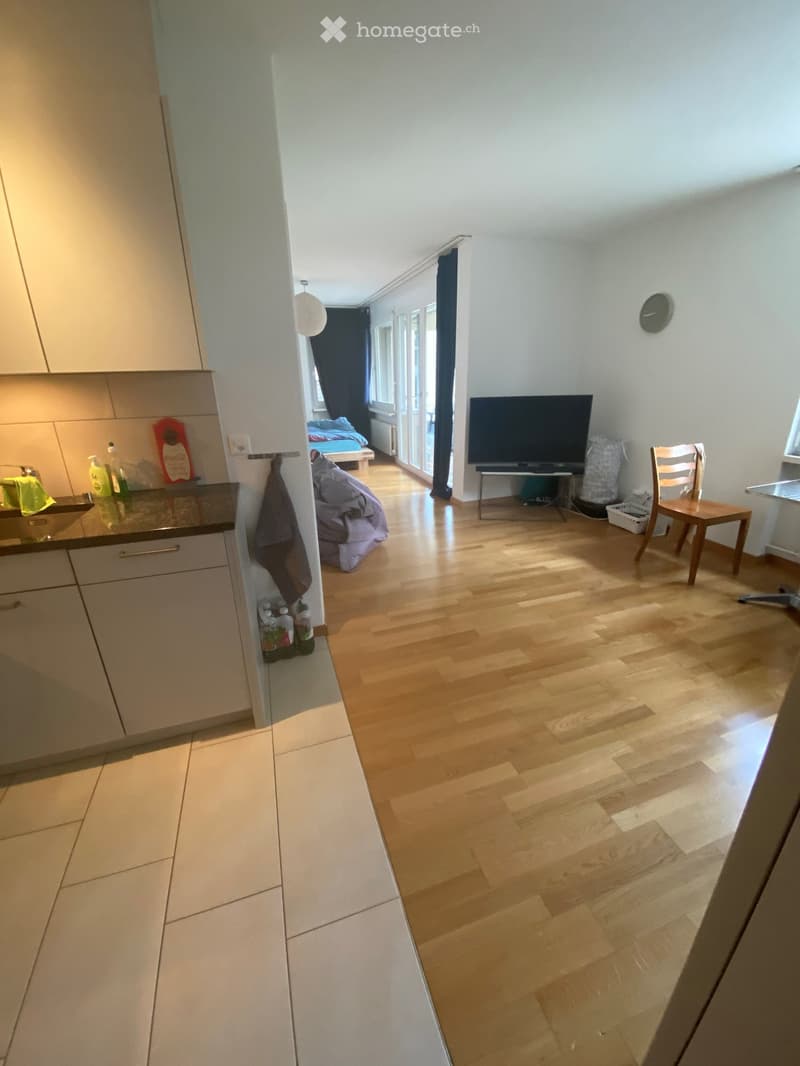 A modern, open-plan living space with a kitchen area, a living area, and a bedroom visible. The kitchen features white cabinets, a sink, and various bottles on the counter. The living area has a wooden floor, a TV on a stand, a chair, and a small table. T