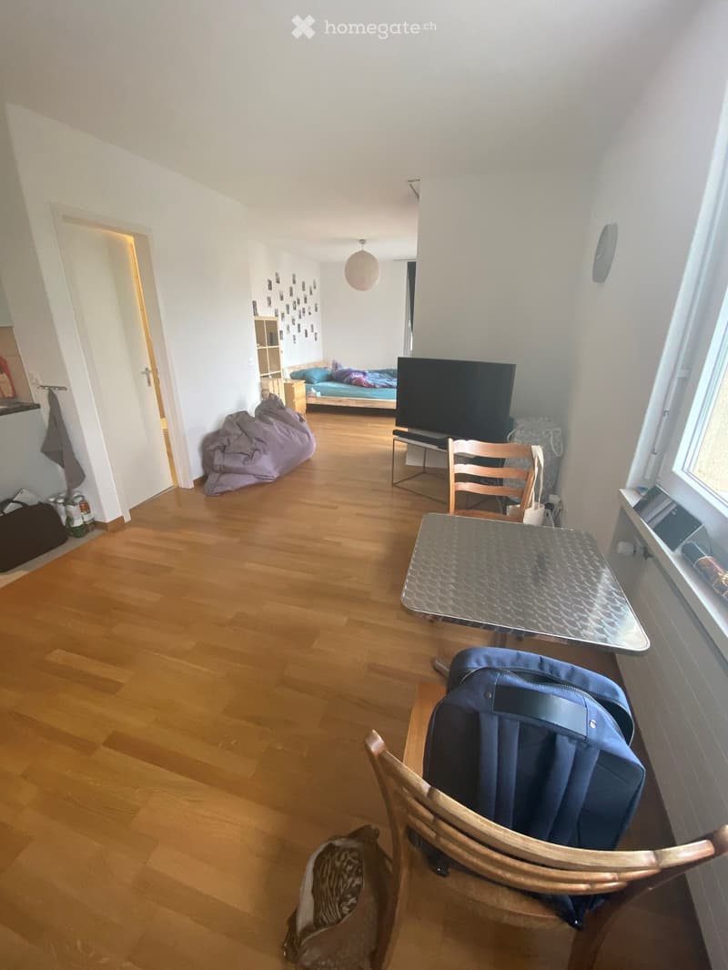 A furnished room with wooden flooring, a table and chair, a sofa, a bed, a screen, and a shelf in the background.