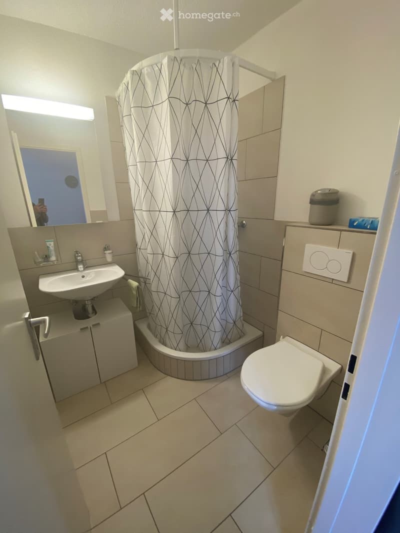 Modern bathroom with a corner shower, sink, toilet, and a mirror above the sink. The shower has a geometric-patterned curtain, and the room features light-colored tiles and a small cabinet under the sink.