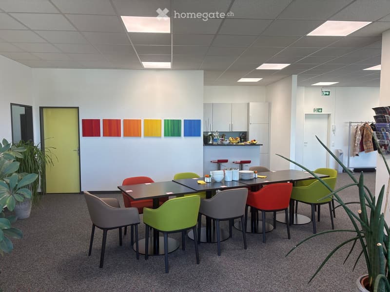 modern office meeting room with long table, colorful chairs, white walls, ceiling lights, plants, kitchen area