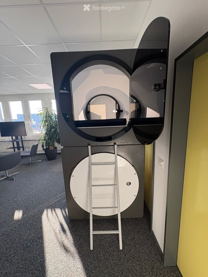 Office room with a large black and white structure, a ladder, a potted plant, and a monitor.