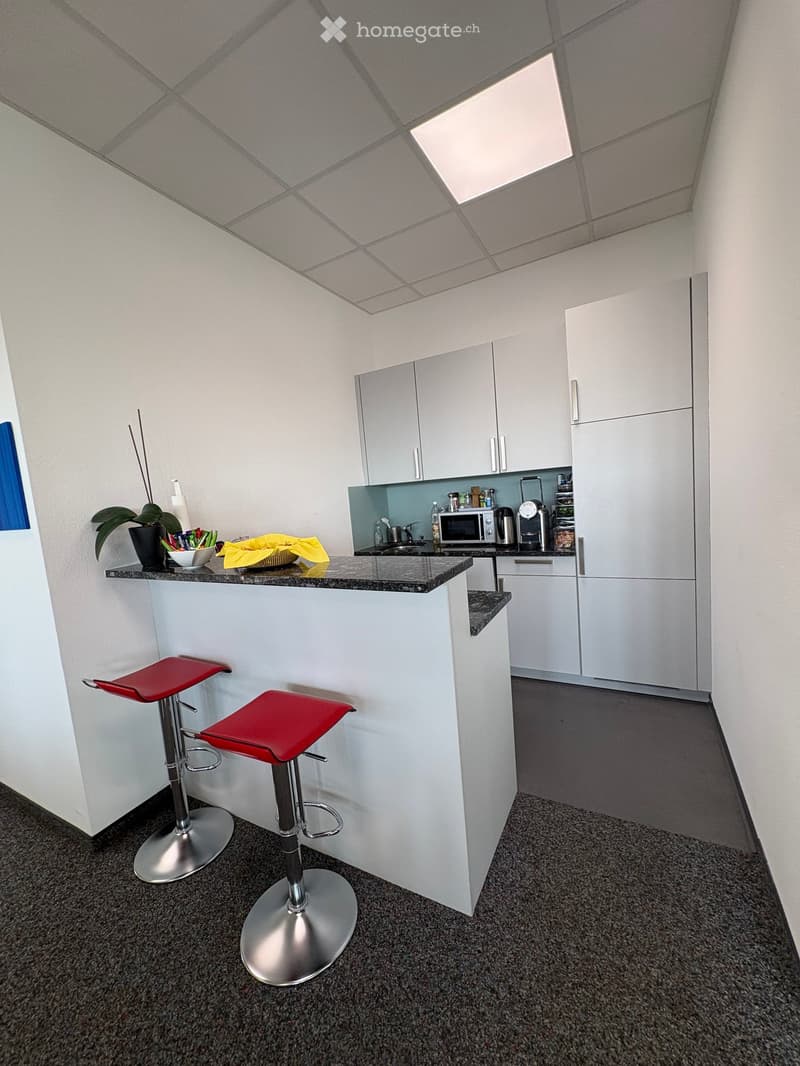 modern kitchen with white cabinets, granite countertop, red stools, potted plant, microwave, coffee machine, sink