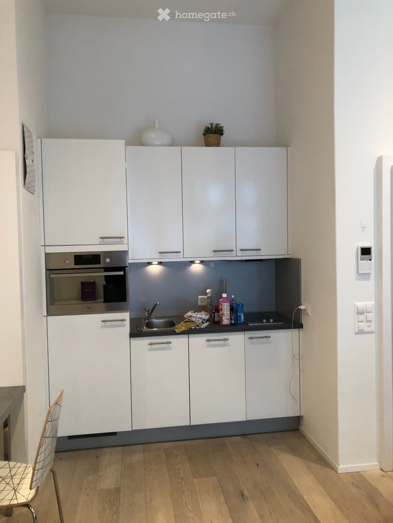 Modern kitchen with white cabinets, stainless steel oven, sink, and countertop. Includes a small potted plant on the cabinet.