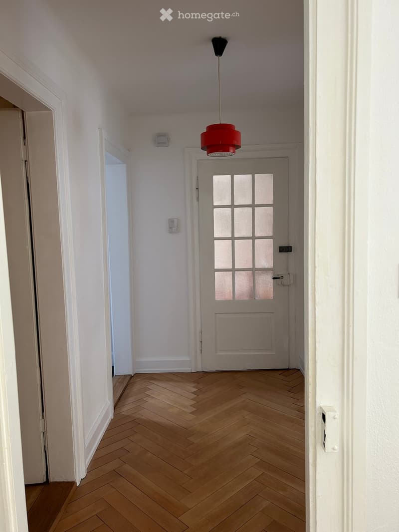 Empty hallway with herringbone wooden flooring, white walls, and a red pendant light hanging from the ceiling. A closed door with frosted glass panels is visible at the end of the hallway.