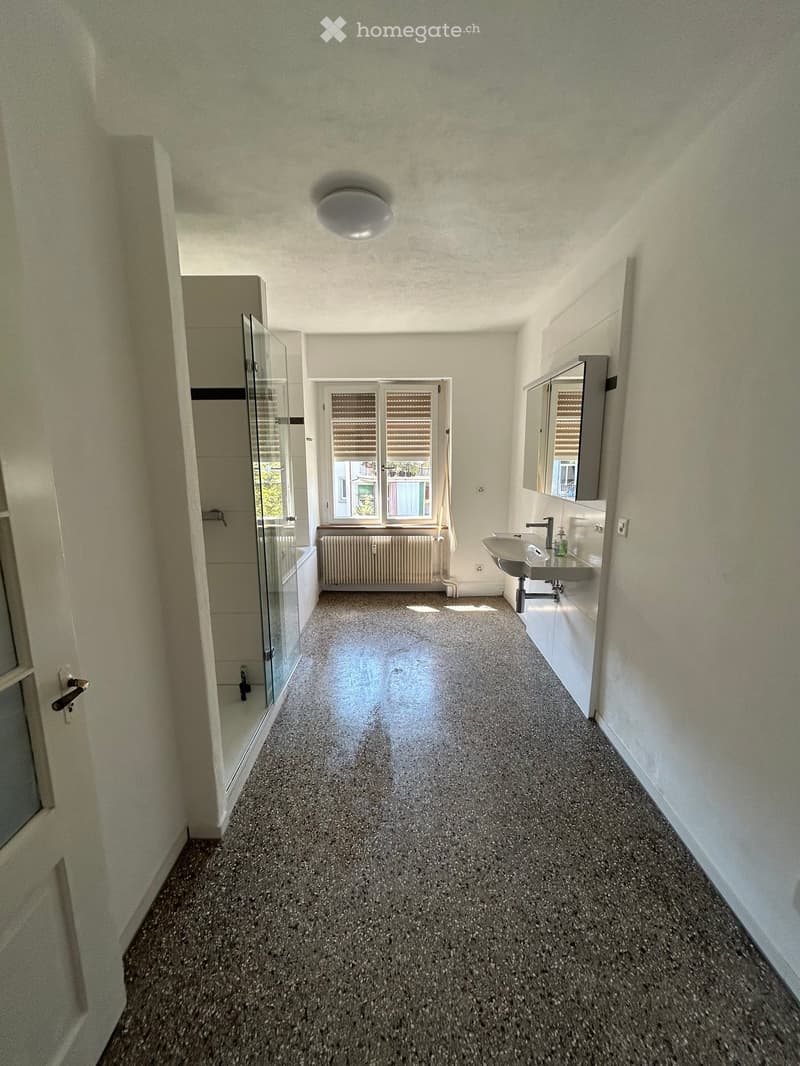 Empty hallway with grey carpeted floor, white walls, a glass shower enclosure on the left, a sink and mirror on the right, and a window at the end.