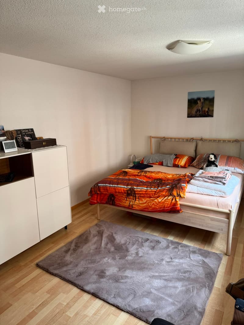 Cozy bedroom with a wooden bed, colorful bedding, a nightstand, a picture frame, and a soft grey rug on the floor.