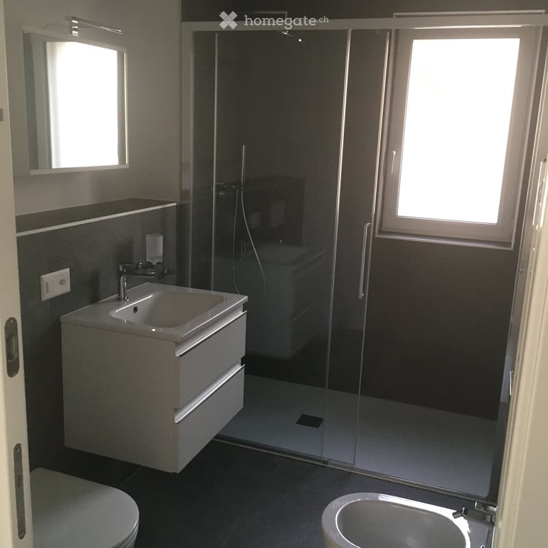 Modern bathroom with a white sink, mirror, toilet, bathtub, and a glass-enclosed shower stall. The space features dark tiles and sleek fixtures.
