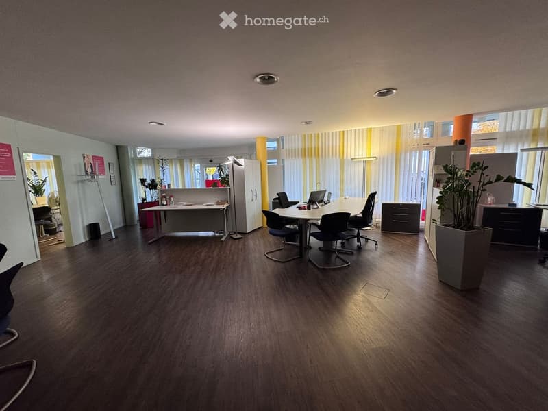 empty room with wooden floor, white walls, desks, chairs, monitor, potted plants, lamps, storage